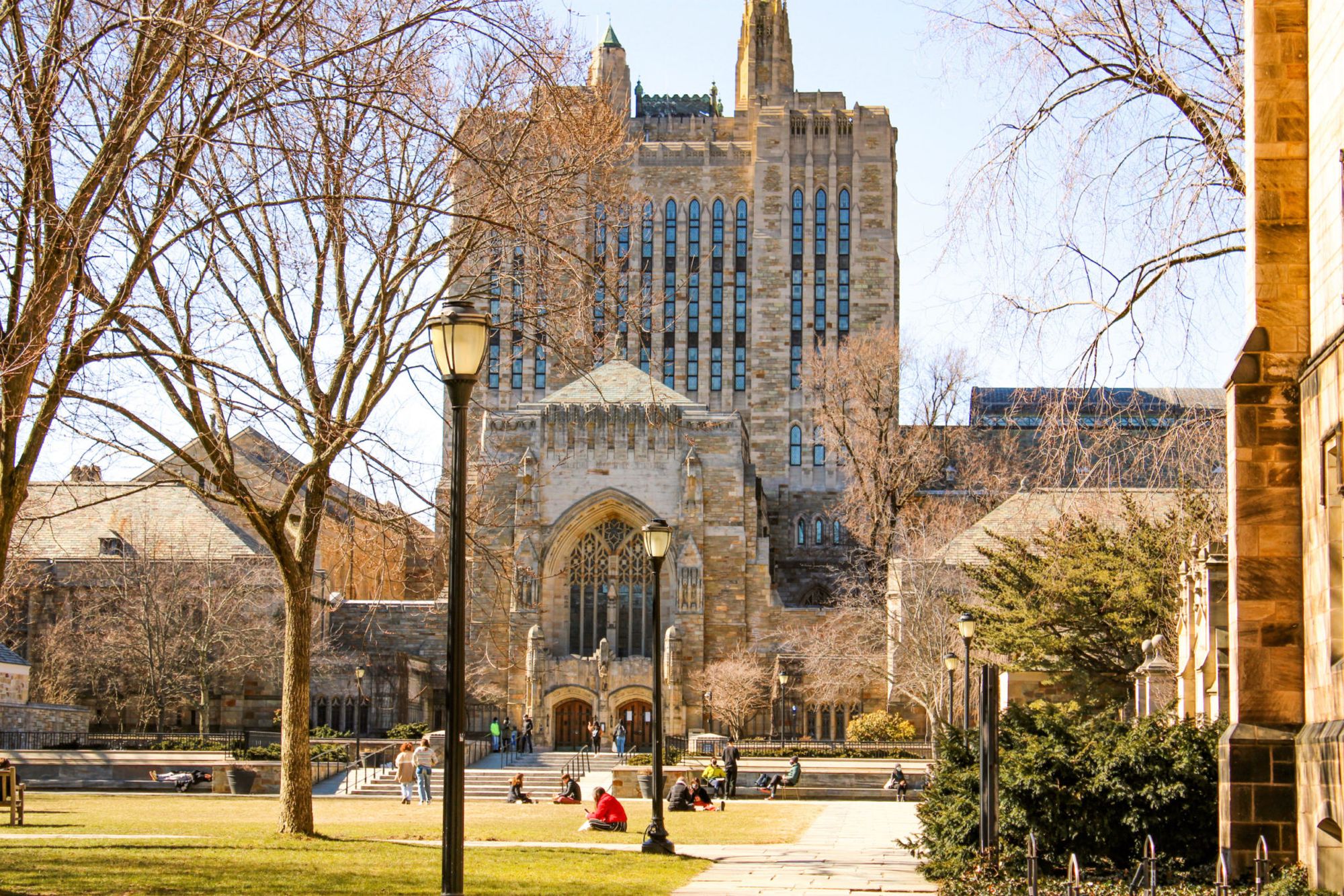 What Yale Looks For